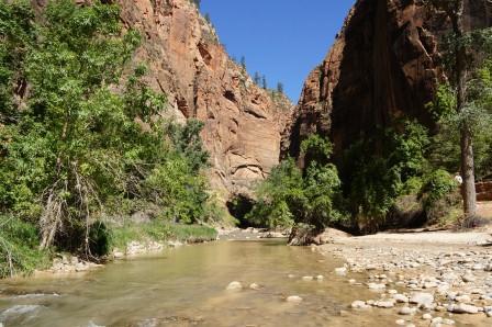 Zion N.P.